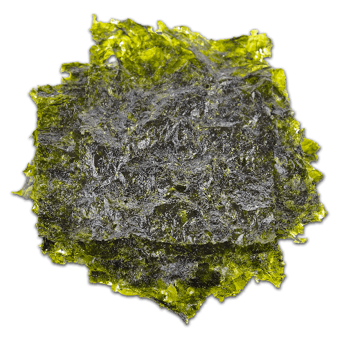 Fucoxanthin - rich Seaweed<
