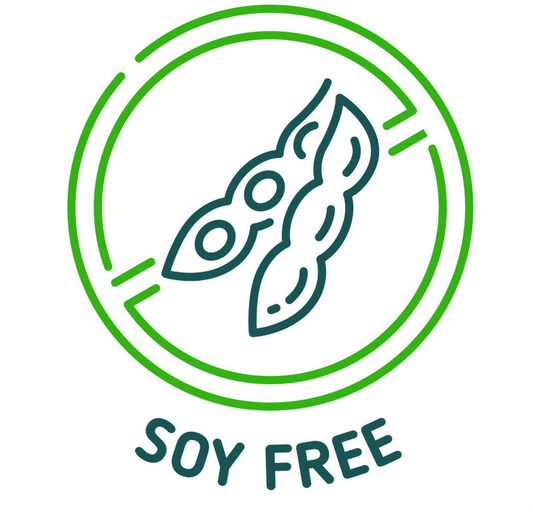 Best Soy-Free Superfood Protein Powders for Allergy-Friendly Nutrition