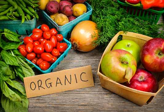 Top 3 Best Organic Superfood Protein Powder - 2025