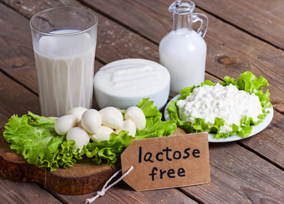 Top 4 Lactose-Free Superfood Protein Powder - 2025 List