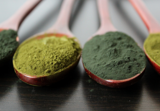 Science Behind Superfood Protein and Its Benefits