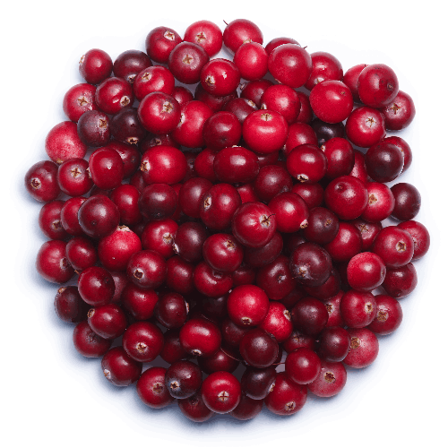 Organic Cranberry<