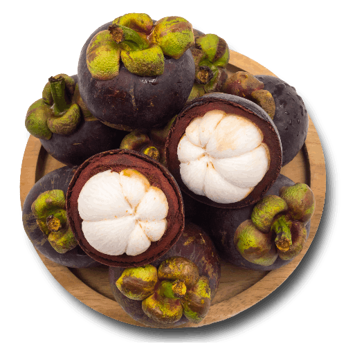 Mangosteen Extract<